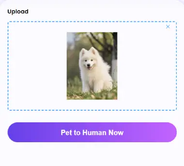 Step 2 – Click "Generate"